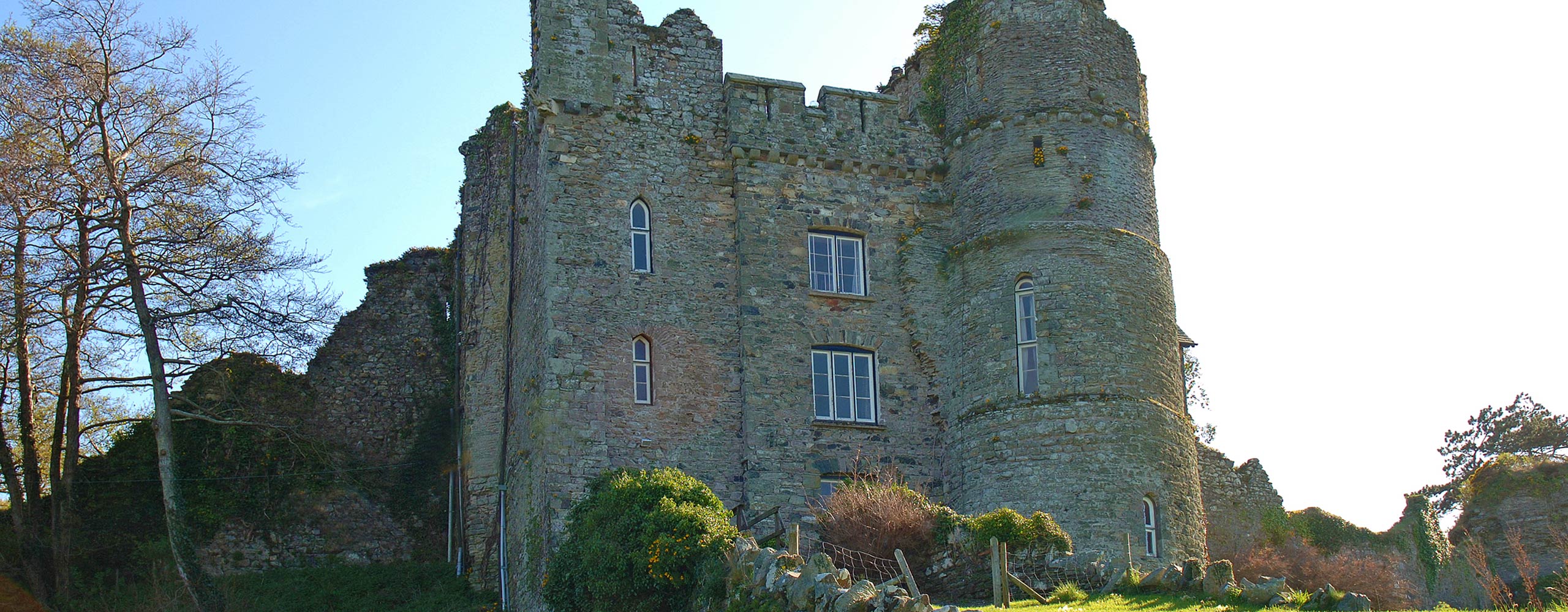 Newport castle from the north