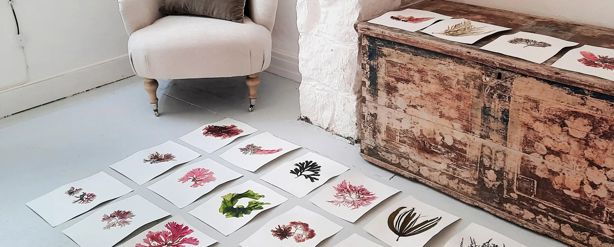 Stunning seaweed art prints