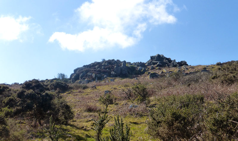 Y Bryn on Mynydd Dinas. Y Bryn on Mynydd Dinas