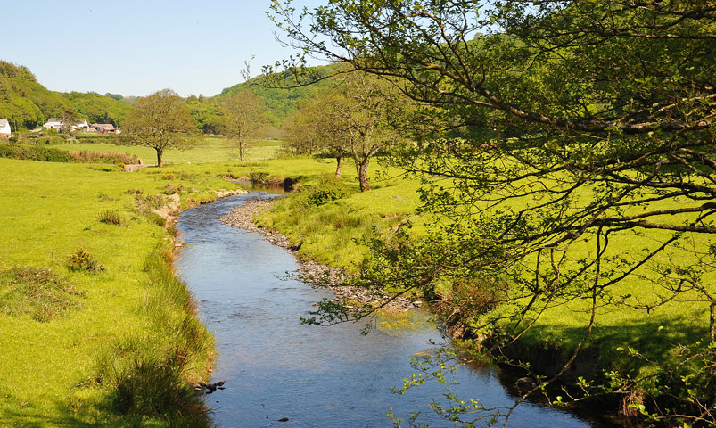 The River Gwaun The River Gwaun