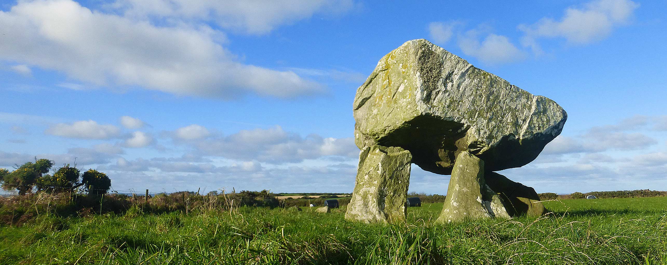 Llech y Drybedd from the east