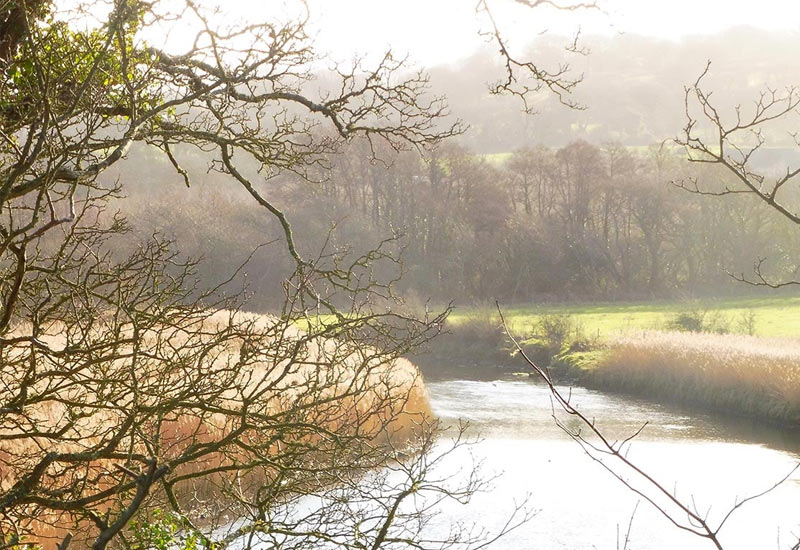 View of the Nevern from the Poachers Path