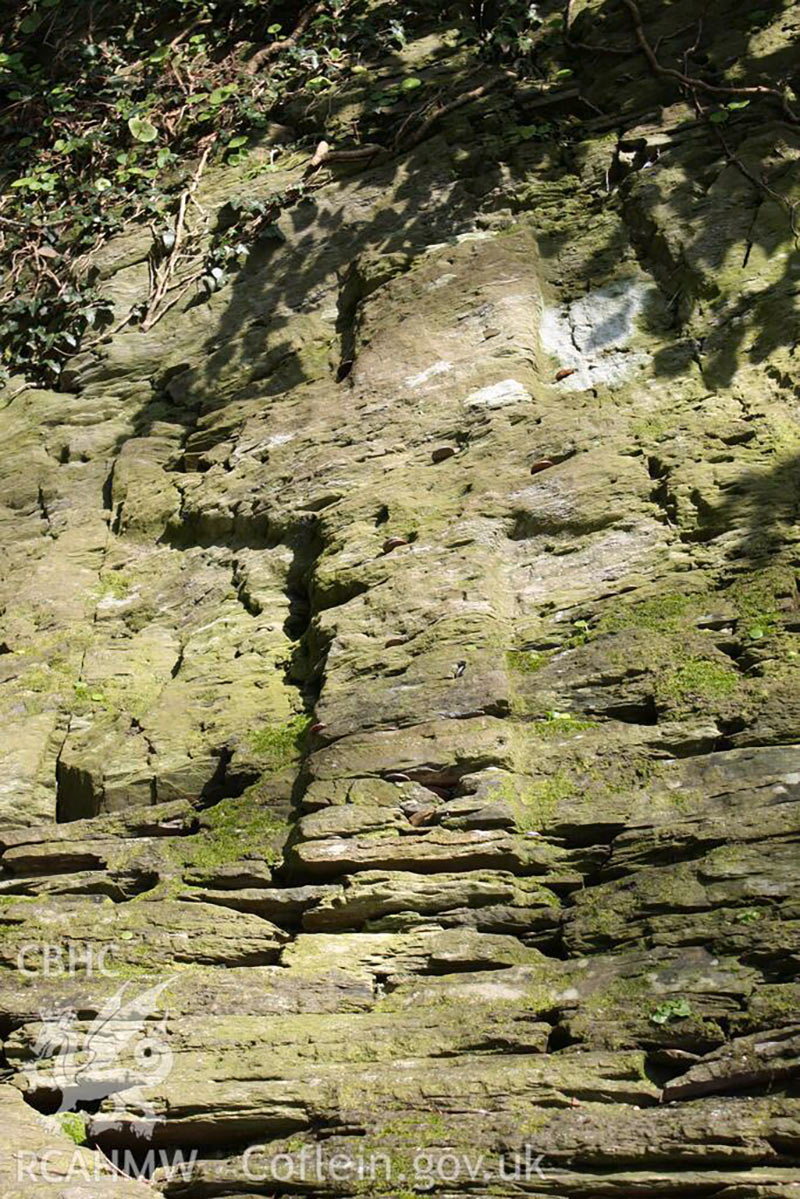 Pilgrims Cross, Nevern Pilgrims Cross, Nevern