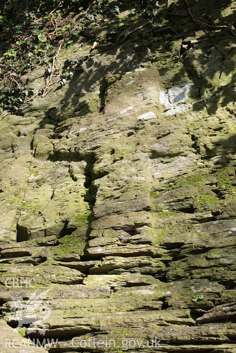 Pilgrims Cross, Nevern