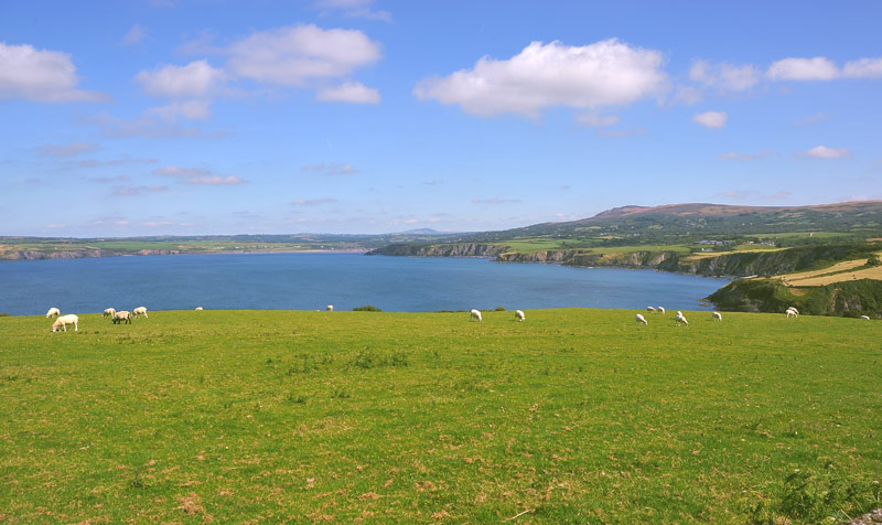 View of Newport Bay Dinas Island