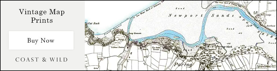Old Map prints of Newport and surrounds