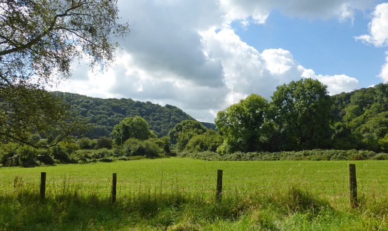 View from Sychpant Picnic Area