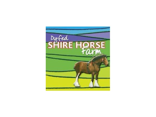 Dyfed Shire Horse Farm