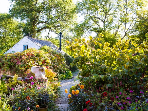 Dyffryn Fernant Gardens