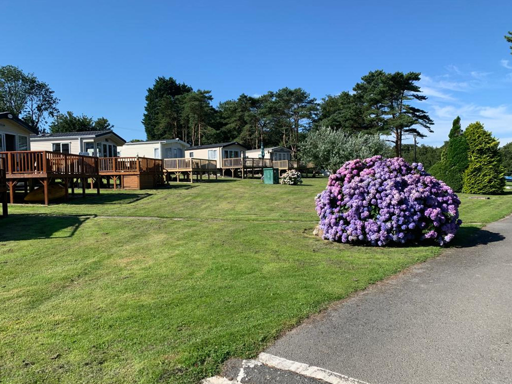 Dinas Country Club
