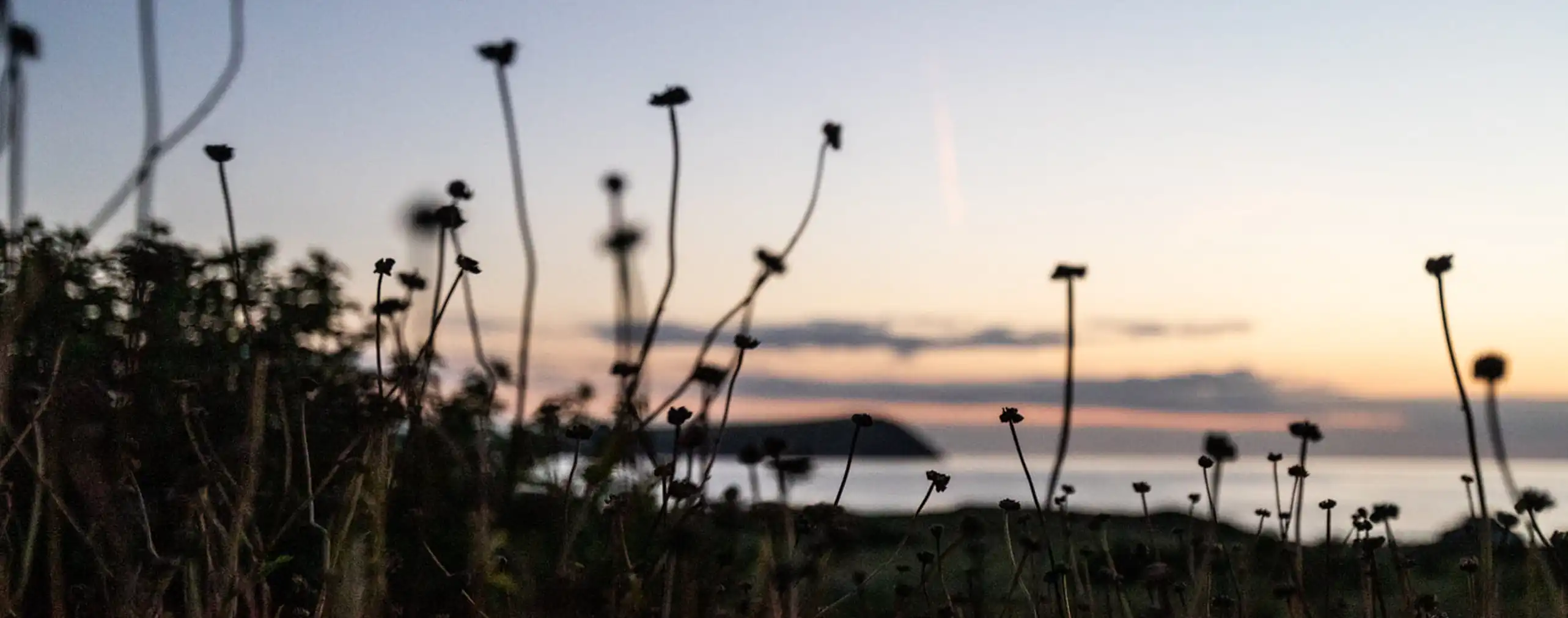 Post sunset evening view from Abernyfer
