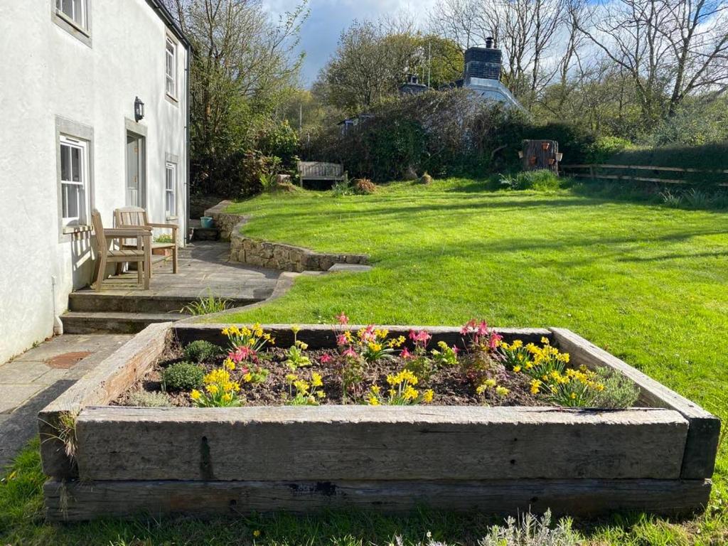 Sun lit garden area Sun lit garden area